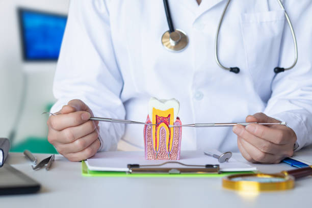 Best Tooth Pain Emergency Relief  in Fullerton, NE